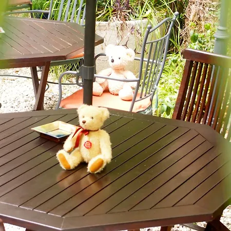 酒店 Privat Liberty 2*